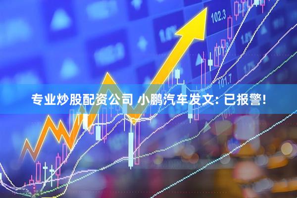 专业炒股配资公司 小鹏汽车发文: 已报警!